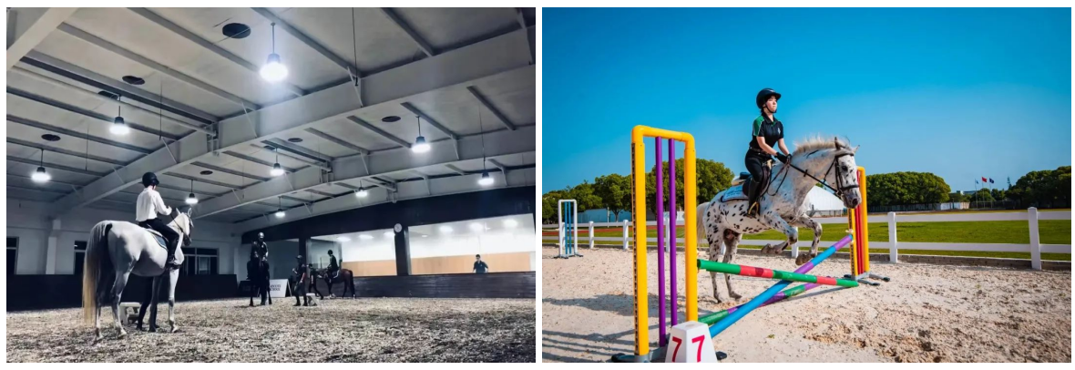 1712737910159690.png 8.png